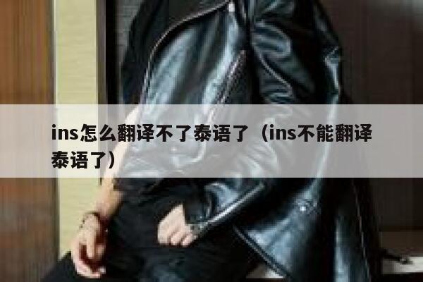 ins怎么翻译不了泰语了（ins不能翻译泰语了） 第1张