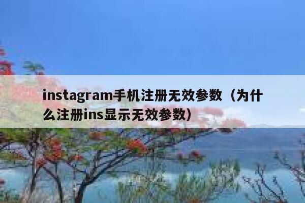 instagram手机注册无效参数（为什么注册ins显示无效参数） 第1张