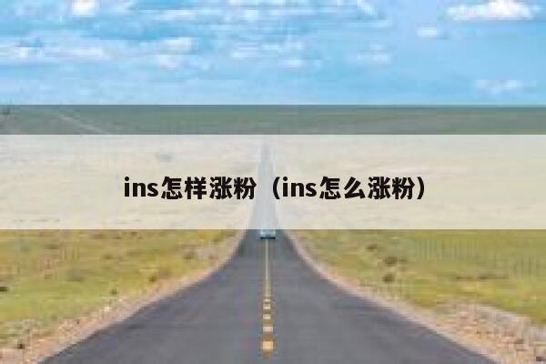 ins怎样涨粉（ins怎么涨粉） 第1张