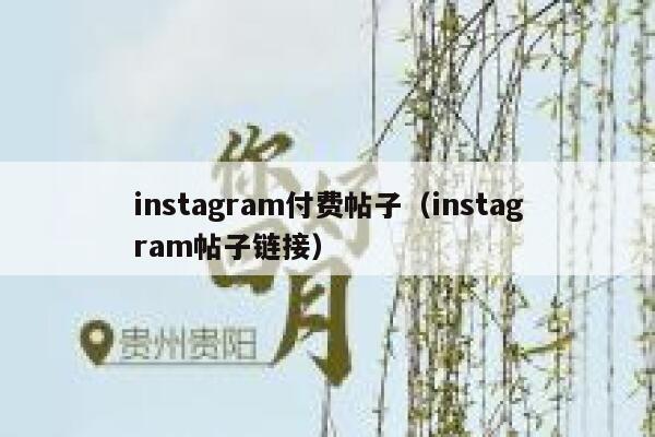 instagram付费帖子（instagram帖子链接） 第1张