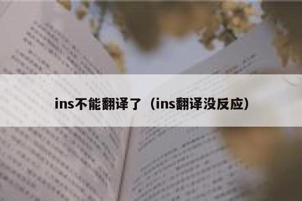ins不能翻译了（ins翻译没反应） 第1张