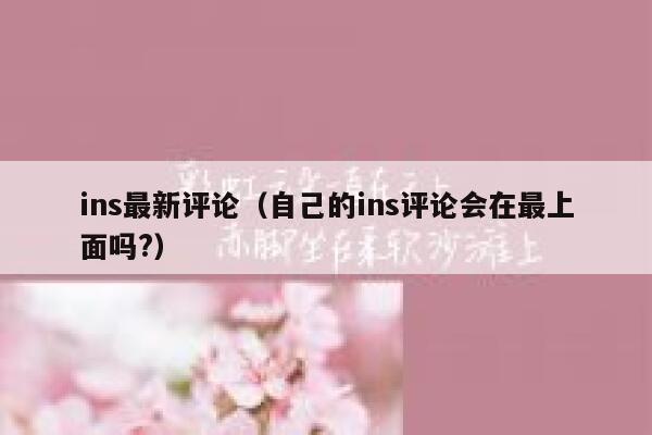 ins最新评论（自己的ins评论会在最上面吗?） 第1张