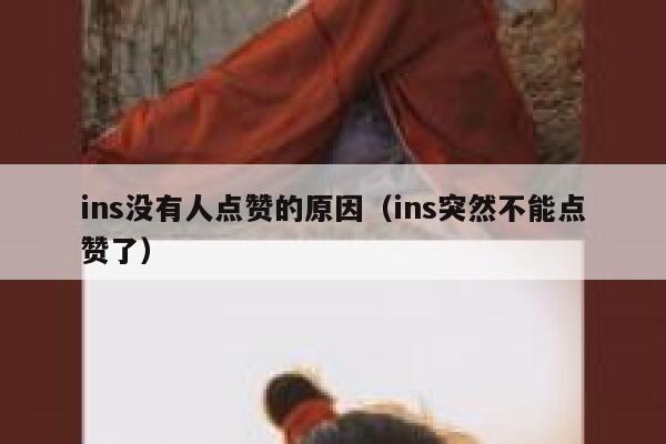 ins没有人点赞的原因（ins突然不能点赞了） 第1张