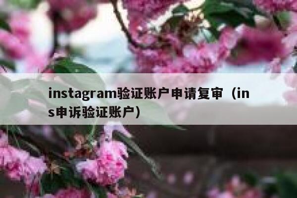 instagram验证账户申请复审（ins申诉验证账户） 第1张