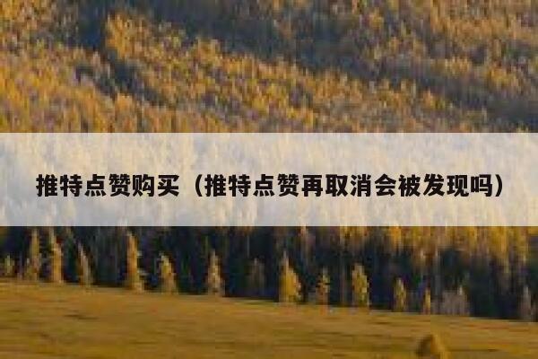 推特点赞购买（推特点赞再取消会被发现吗） 第1张