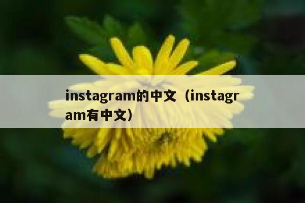 instagram的中文（instagram有中文） 第1张