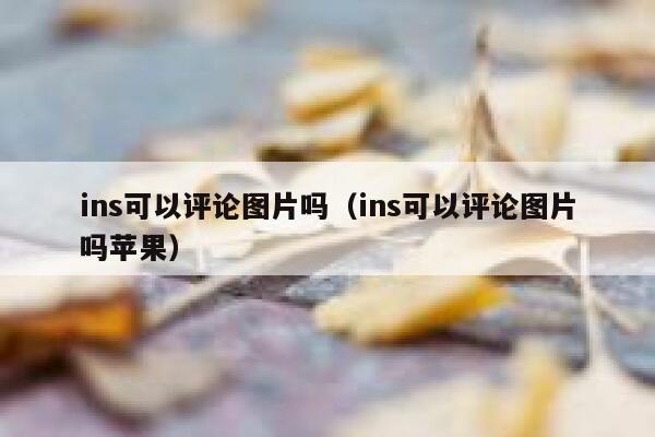 ins可以评论图片吗（ins可以评论图片吗苹果） 第1张