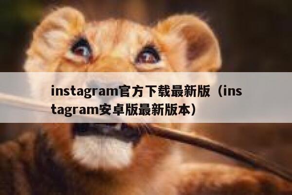 instagram官方下载最新版（instagram安卓版最新版本） 第1张