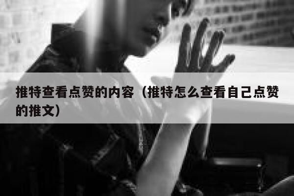 推特查看点赞的内容（推特怎么查看自己点赞的推文） 第1张