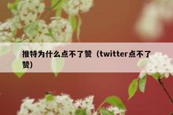 推特为什么点不了赞（twitter点不了赞） 第1张