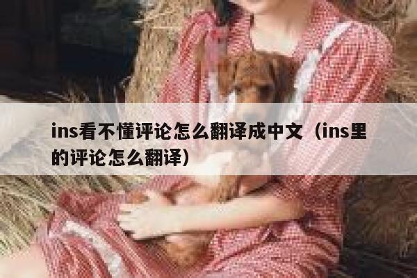 ins看不懂评论怎么翻译成中文（ins里的评论怎么翻译） 第1张