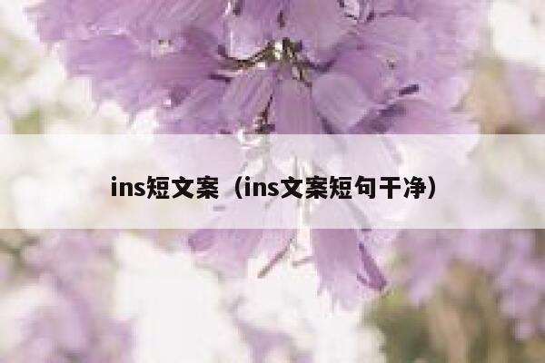 ins短文案（ins文案短句干净） 第1张