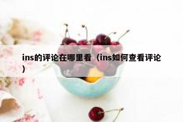 ins的评论在哪里看（ins如何查看评论） 第1张