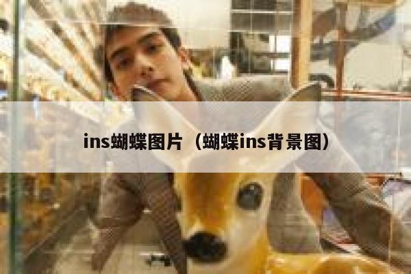 ins蝴蝶图片（蝴蝶ins背景图） 第1张