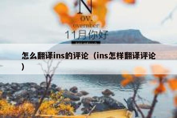 怎么翻译ins的评论（ins怎样翻译评论） 第1张