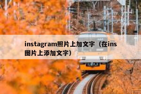 instagram照片上加文字（在ins图片上添加文字） 第1张