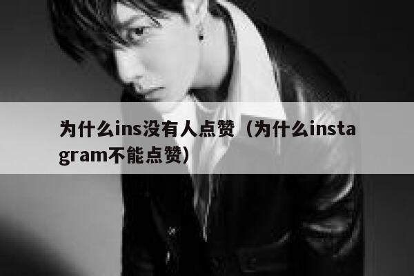 为什么ins没有人点赞（为什么instagram不能点赞） 第1张