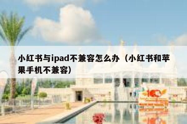 小红书与ipad不兼容怎么办（小红书和苹果手机不兼容） 第1张