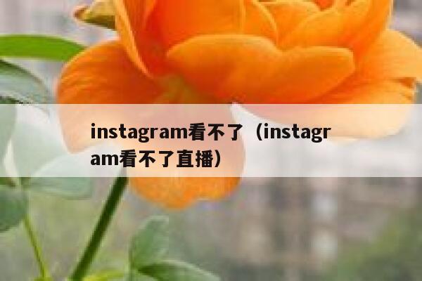 instagram看不了（instagram看不了直播） 第1张