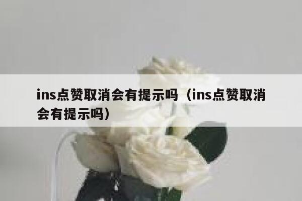 ins点赞取消会有提示吗（ins点赞取消会有提示吗） 第1张