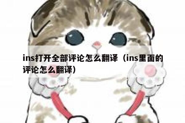 ins打开全部评论怎么翻译(ins里面的评论怎么翻译) 第1张 ins打开全部评论怎么翻译(ins里面的评论怎么翻译) 第1张