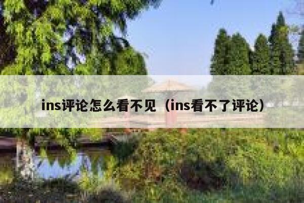 ins评论怎么看不见(ins看不了评论) 第1张 ins评论怎么看不见(ins看不了评论) 第1张