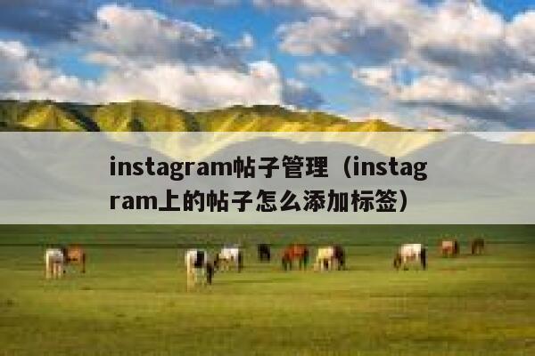 instagram帖子管理（instagram上的帖子怎么添加标签） 第1张