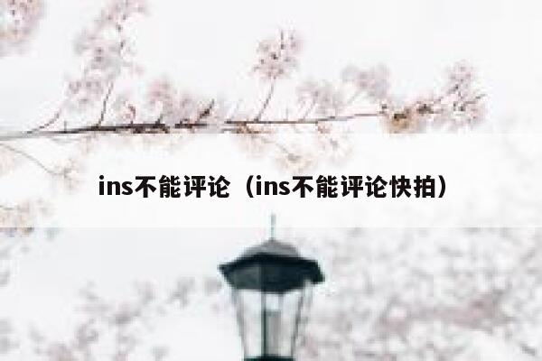 ins不能评论(ins不能评论快拍) 第1张 ins不能评论(ins不能评论快拍) 第1张