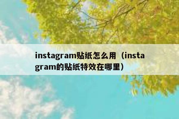 instagram贴纸怎么用（instagram的贴纸特效在哪里） 第1张
