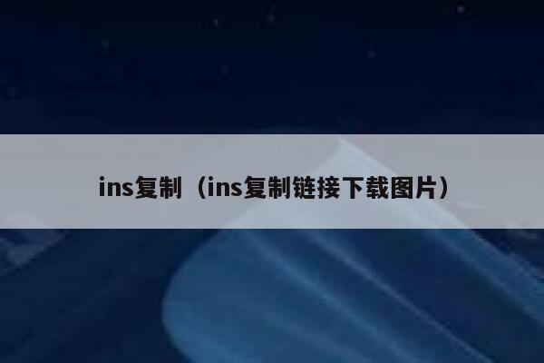 ins复制（ins复制链接下载图片） 第1张