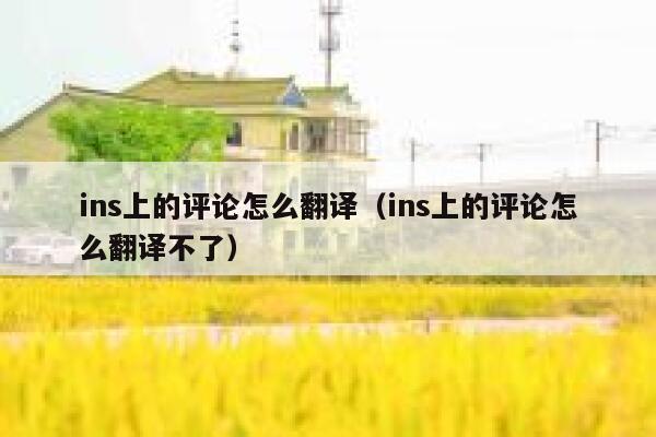 ins上的评论怎么翻译（ins上的评论怎么翻译不了） 第1张
