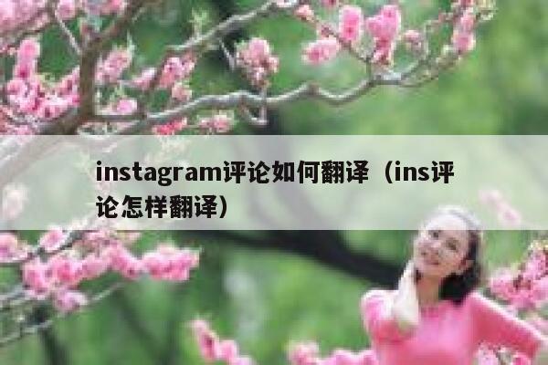 instagram评论如何翻译（ins评论怎样翻译） 第1张