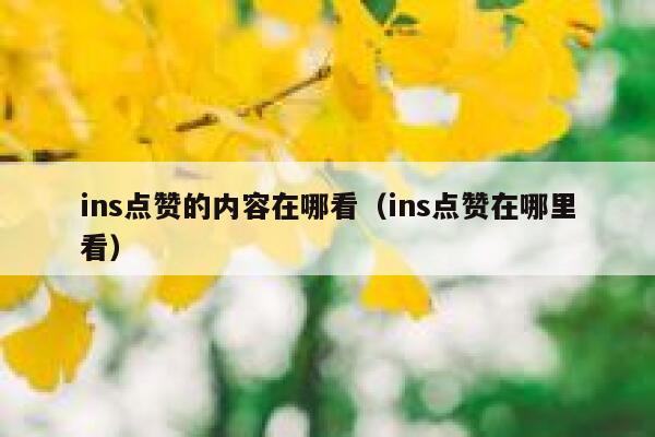 ins点赞的内容在哪看（ins点赞在哪里看） 第1张