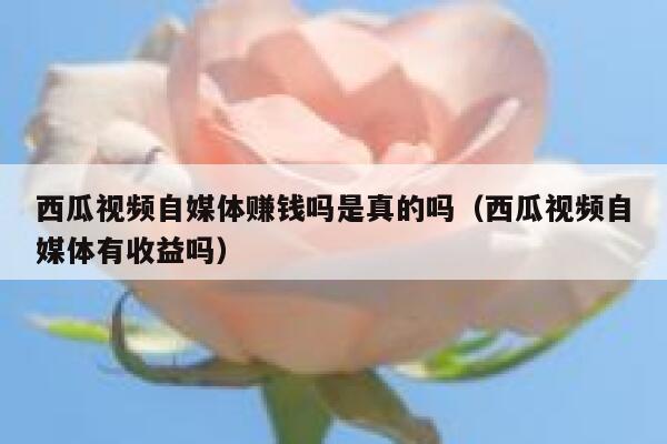 西瓜视频自媒体赚钱吗是真的吗（西瓜视频自媒体有收益吗） 第1张
