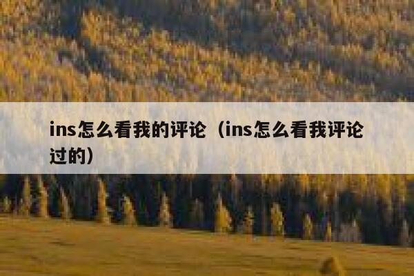 ins怎么看我的评论（ins怎么看我评论过的） 第1张