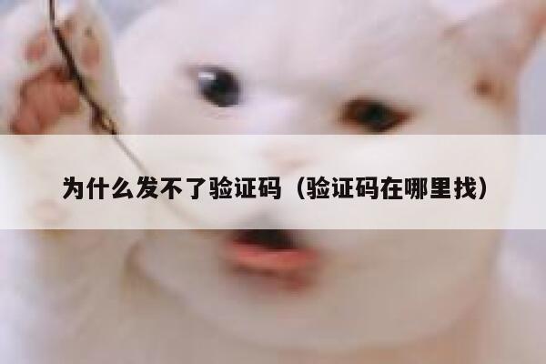 为什么发不了验证码（验证码在哪里找） 第1张