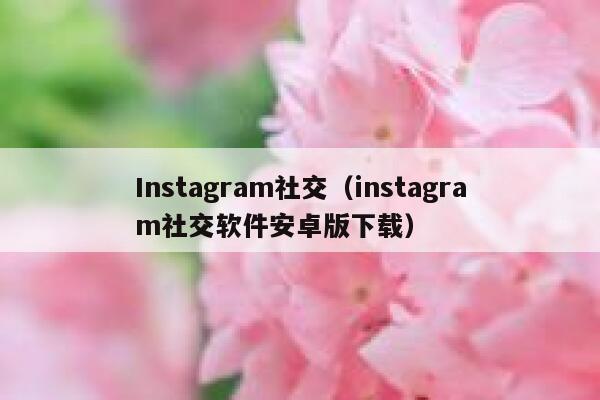 Instagram社交（instagram社交软件安卓版下载） 第1张