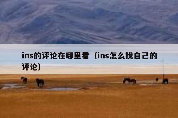 ins的评论在哪里看(ins怎么找自己的评论) 第1张 ins的评论在哪里看(ins怎么找自己的评论) 第1张
