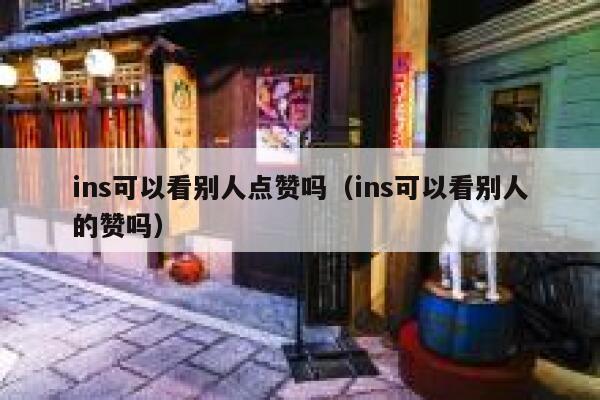 ins可以看别人点赞吗（ins可以看别人的赞吗） 第1张