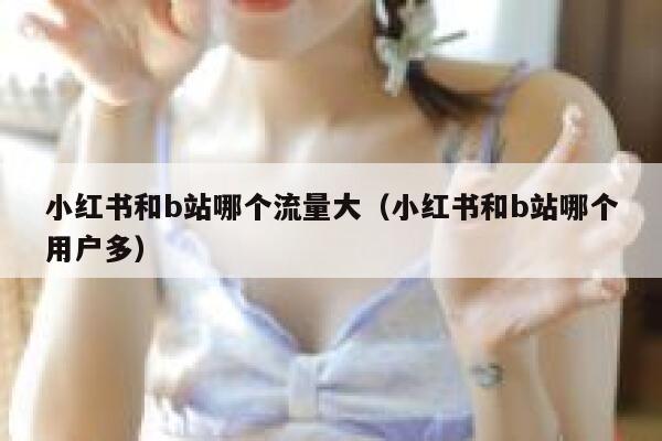 小红书和b站哪个流量大（小红书和b站哪个用户多） 第1张