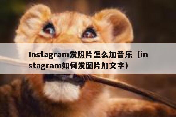 Instagram发照片怎么加音乐（instagram如何发图片加文字） 第1张
