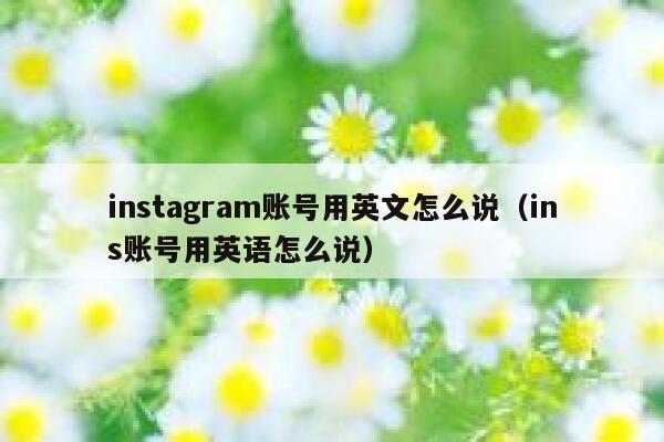 instagram账号用英文怎么说（ins账号用英语怎么说） 第1张