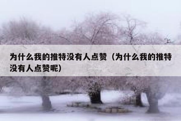 为什么我的推特没有人点赞(为什么我的推特没有人点赞呢) 第1张 为什么我的推特没有人点赞(为什么我的推特没有人点赞呢) 第1张