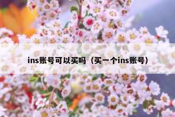 ins账号可以买吗（买一个ins账号） 第1张