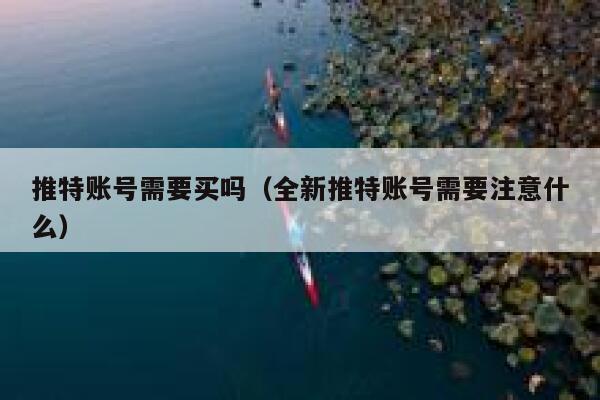 推特账号需要买吗（全新推特账号需要注意什么） 第1张