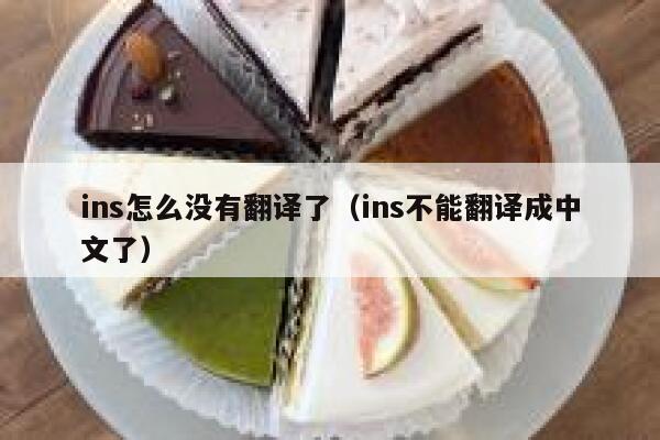 ins怎么没有翻译了（ins不能翻译成中文了） 第1张