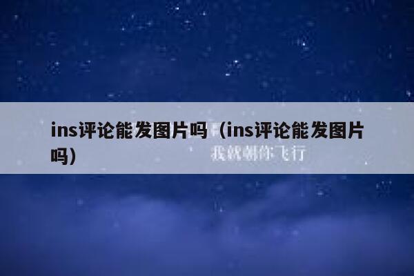 ins评论能发图片吗（ins评论能发图片吗） 第1张