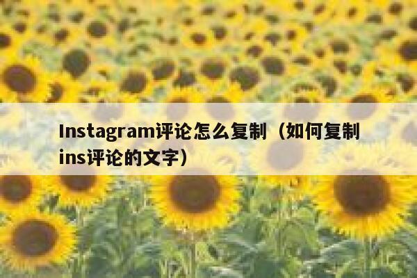 Instagram评论怎么复制（如何复制ins评论的文字） 第1张