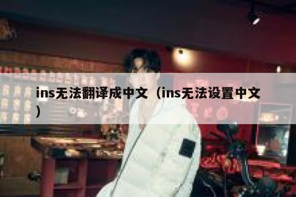 ins无法翻译成中文（ins无法设置中文） 第1张