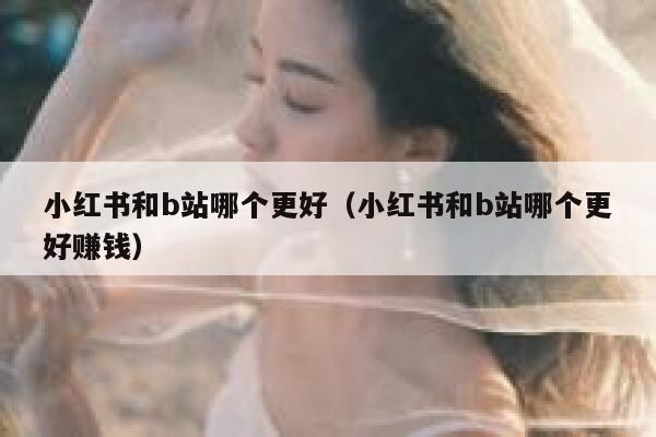 小红书和b站哪个更好（小红书和b站哪个更好赚钱） 第1张